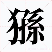 猻