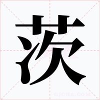 茨