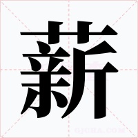 薪
