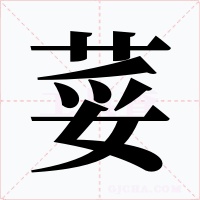荽