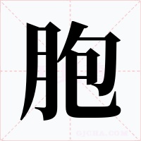 胞
