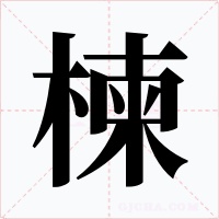 楝