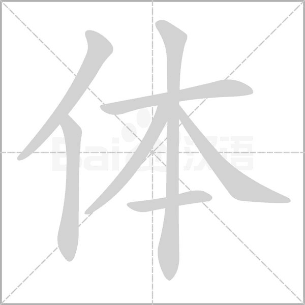體