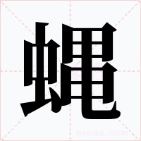 蝿