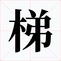 梯