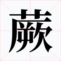蕨