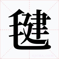 毽
