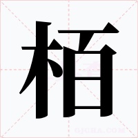 栢
