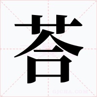 荅