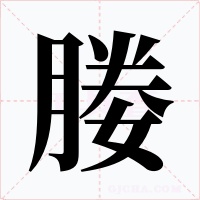 媵
