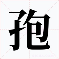 孢