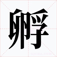 孵