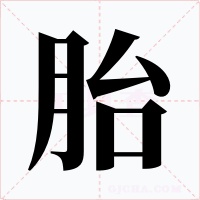 胎
