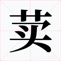 荬