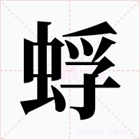 蜉