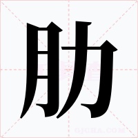 肋