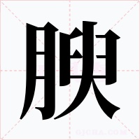 腴