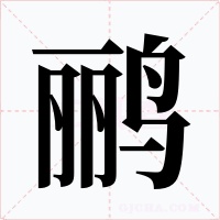 鸝