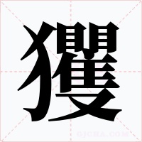 玃