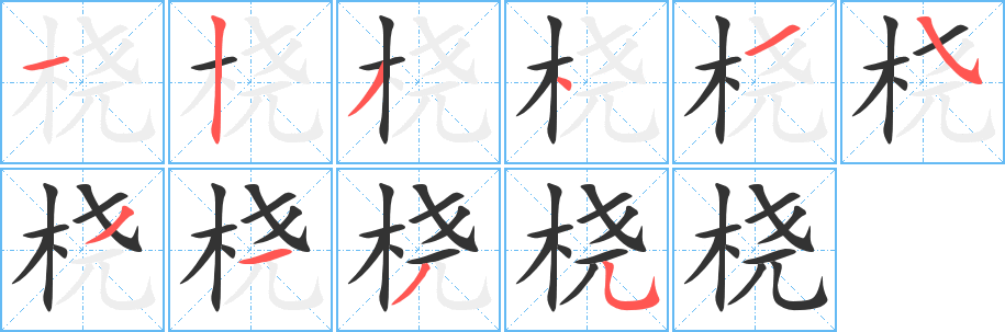 橈