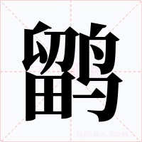 鹠