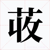 荍