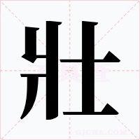 壯