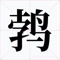 鵓