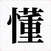 懂
