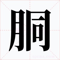 胴