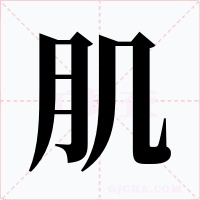 肌