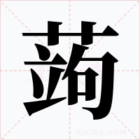 蒟