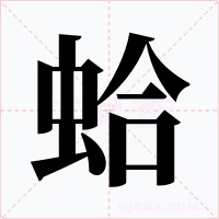 蛤