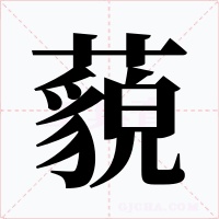 藐