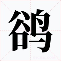 鵒