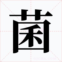 菌