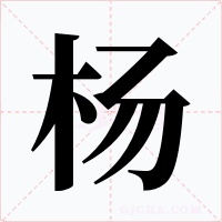 楊