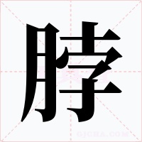 脖