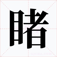 睹
