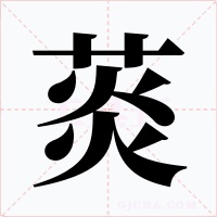 菼