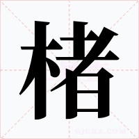 楮