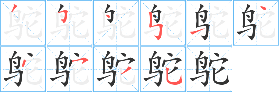 鴕