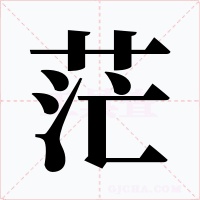 茫