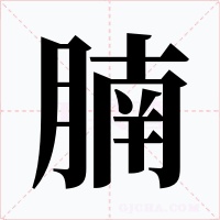 腩