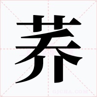 蕎
