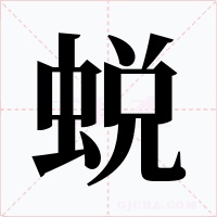 蛻