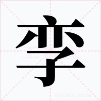 孿