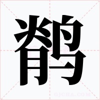 鹡