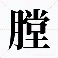 膛
