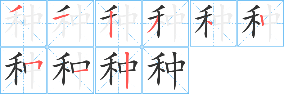 種